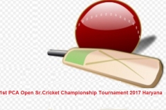 Logo for 1st Pca tournament