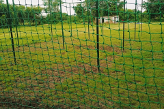 24-Cricket-Academy-Nagpur-2