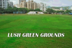 Aarey Bhaskar Ground Lush Green Ground Images 1