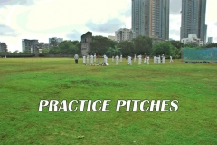 Aarey Bhaskar Ground Practice pitch Images 2