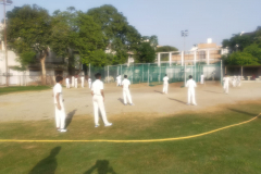 Bharat-Nagar-Cricket-Center-Bharat-Nagar-2