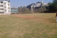 BNN-Collage-Ground-Greenfield-Cricket-Ground-Bhiwandi-1