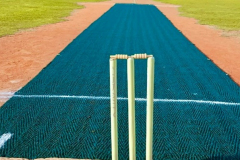 Champion-Sports-Cricket-Academy-Paschim-Vihar-Delhi-1