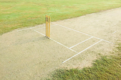 CP-Cricket-Academy-Ludhiana-6
