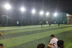 Crickshot-Turf-Sion-4