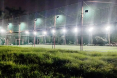 Crickshot-Turf-Sion-5