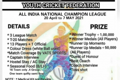 Delhi-NCR-Cricket-Tournament-1