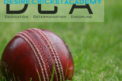 Desire-Cricket-Academy-Ahmedabad-9