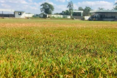First-Green-Cricket-Ground-Lonavala-5