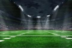 Force-Playing-Fields-Turf-Shivajinagar-Pune-1