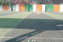 Force-Playing-Fields-Turf-Shivajinagar-Pune-8
