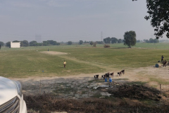 Freedom-Sports-Club-Ground-Noida-4