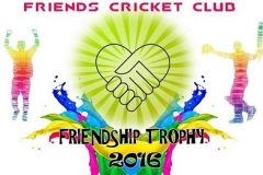 Friends Cricket Club Tournament Logo