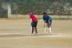 GS Harry Cricket Academy Delhi 3