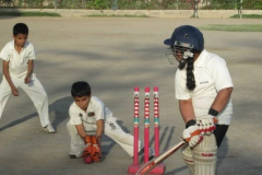 GS Harry Cricket Academy Delhi 5