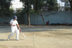 GS Harry Cricket Academy Delhi 6