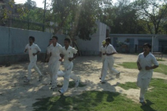 GS Harry Cricket Academy Delhi 7
