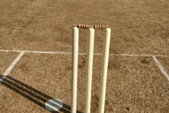 Haryana-Cricket-Tour-at-Rajkot-2