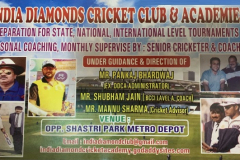 India-Diamonds-Cricket-Academy-Delhi-Shastri-Park-6