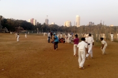 Jadhav Cricket Academy 1