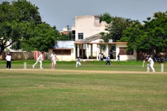 cricket-tournament