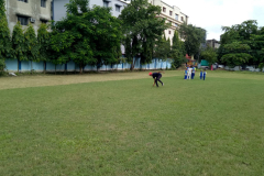 Kolkata-Green-Grass-Cricket-Centre-15