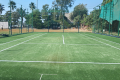 Parsee-Gymkhana-Turf-2