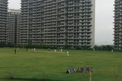 PUSH-Cricket-Academy-Gurgaon-6