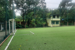 Rangoli-Cricket-and-Football-Turf-Thane-3