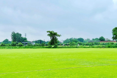 RCC-Sports-Club-Cricket-Ground-Gurgaon-9
