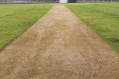 Sant-Gajanan-Cricket-Academy-Sulakshan-Kulkarni-Cricket-Ground-3