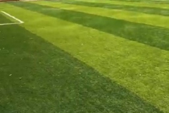 Sportzella-Turf-Vakola-3