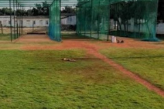 Star-Cricket-Academy-Noida-Sector-120