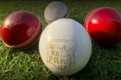 The-BallPark-Cricket-Ground-Gurgaon-1