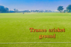Trance-cricket-ground-Gurgaon-2