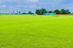 Trance-cricket-ground-Gurgaon-3