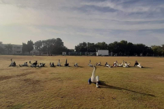 Unique-Cricket-Academy-Udaipur-14