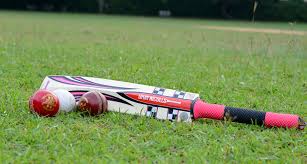 Ravindra School beat Rajeev Rathore Academy in Fusion Cricket Cup