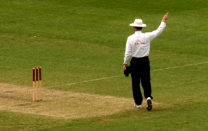 cricket_umpire
