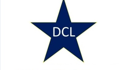 Delhi Cricket League Academy