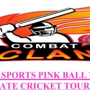 BR SPORTS PINK BALL T20 CORPORATE CRICKET TOURNAMENT 2018 NOIDA