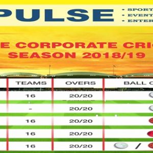 PULSE CORPORATE CRICKET SEASON 2018/19 MUMBAI