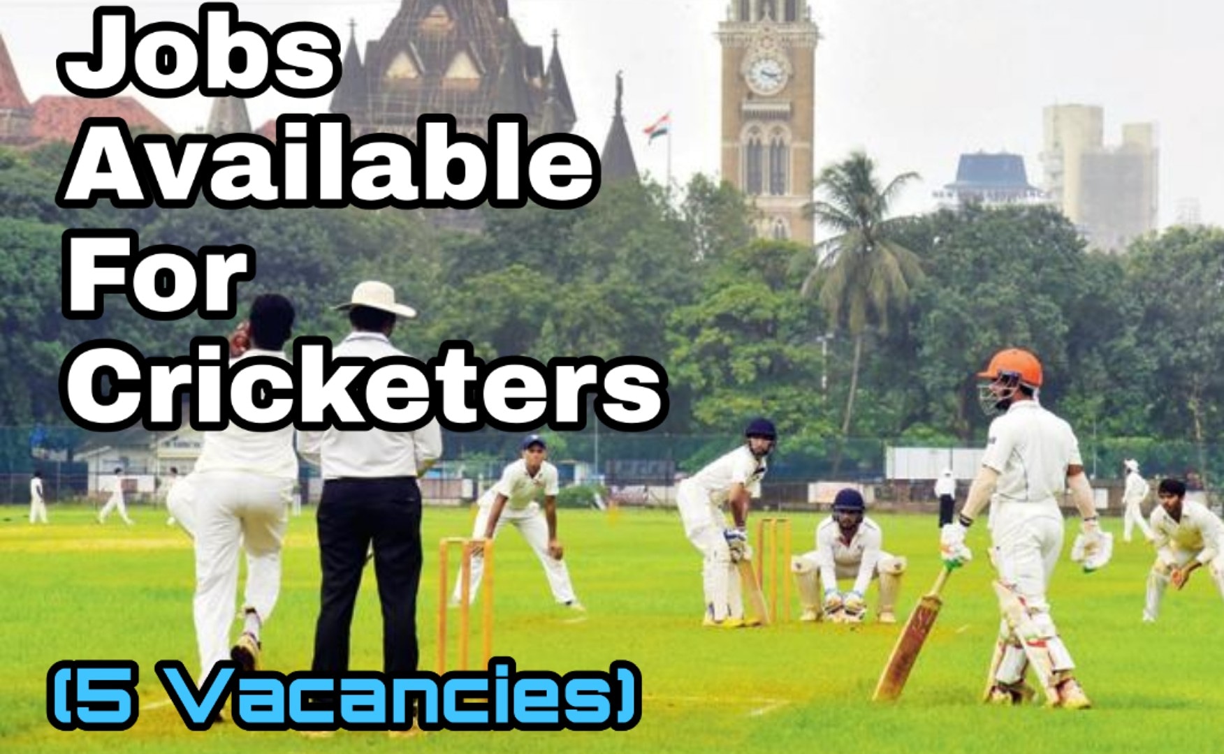 Jobs for cricketers