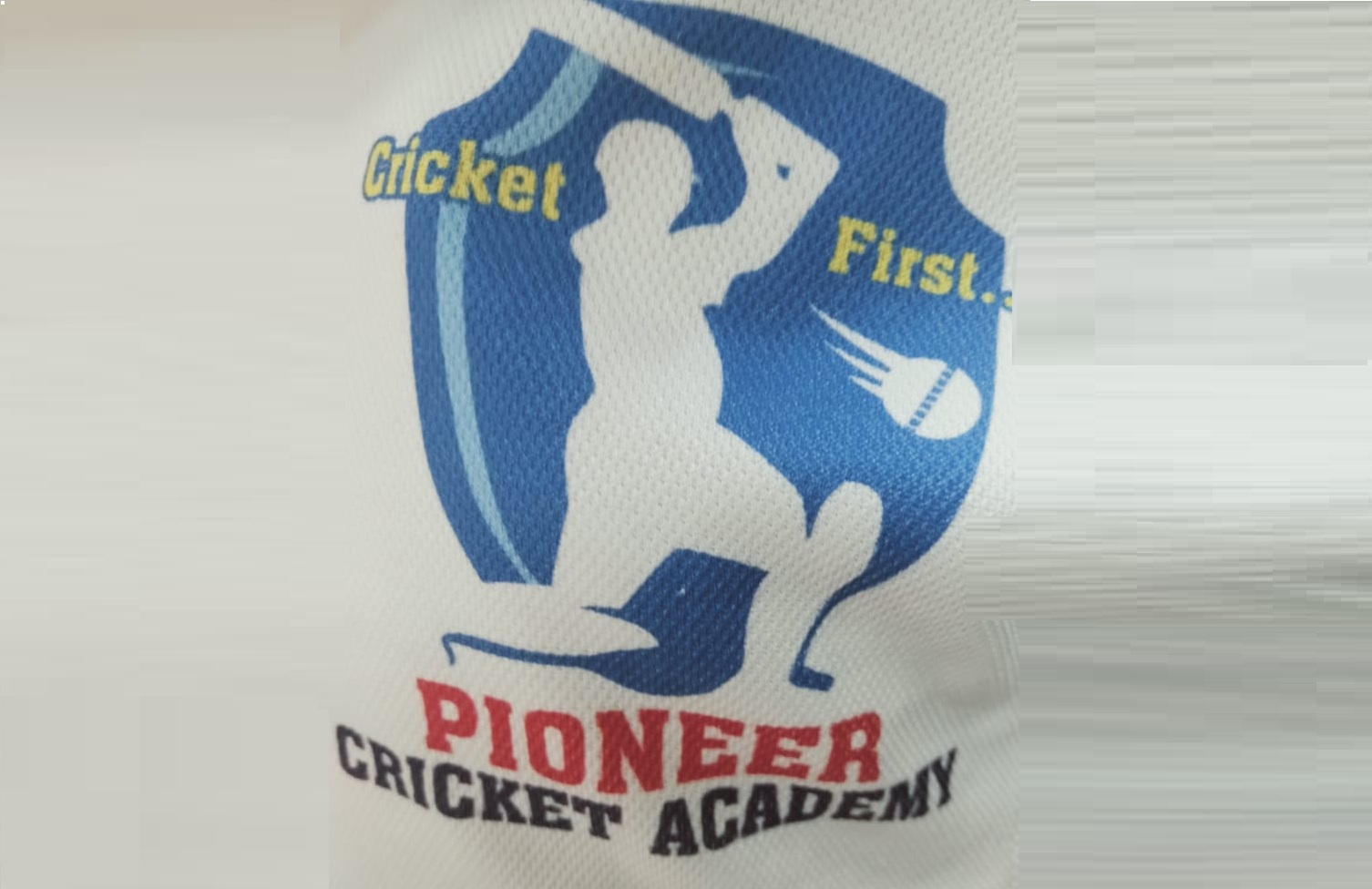 Pioneer cricket academy in Mira Road