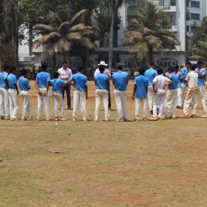Tyger Cricket Academy