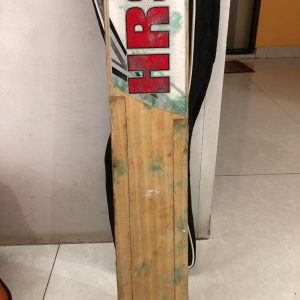 Raunaq english willow cricket bat