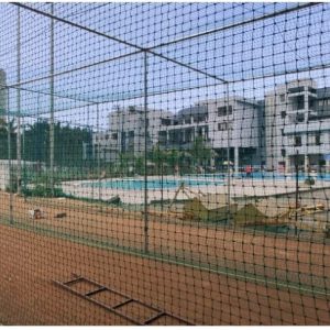 Crickingdom - Best Cricket Academy in Bandra
