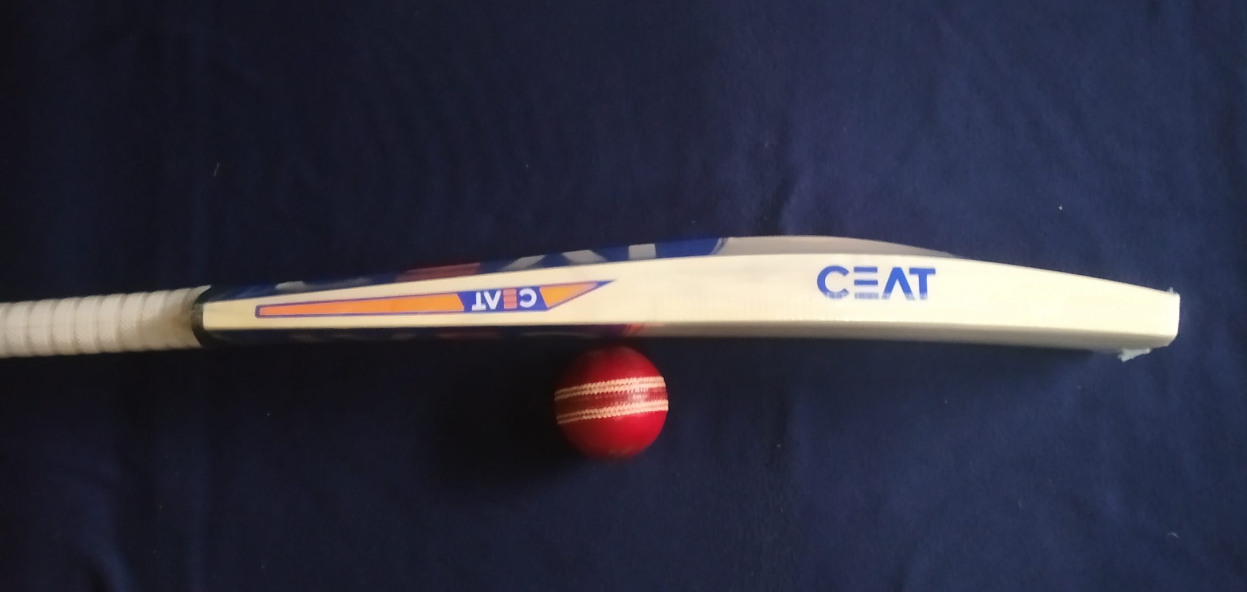 Rohan bane -CEAT bat (6)
