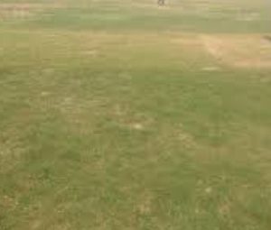 Neelkanth Cricket Ground