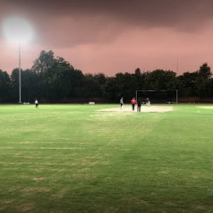 The BallPark Cricket Ground